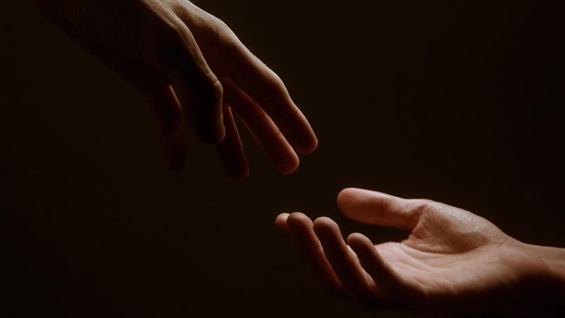 “学成了 希望你们能够回来” 内容目录:五类常读篇目与它们的状态